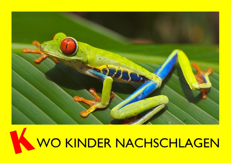 Datei:Klexikon WKN C 09.jpg