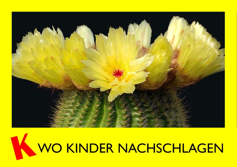 Datei:Klexikon WKN B 02.pdf