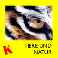 Tiere und Natur
