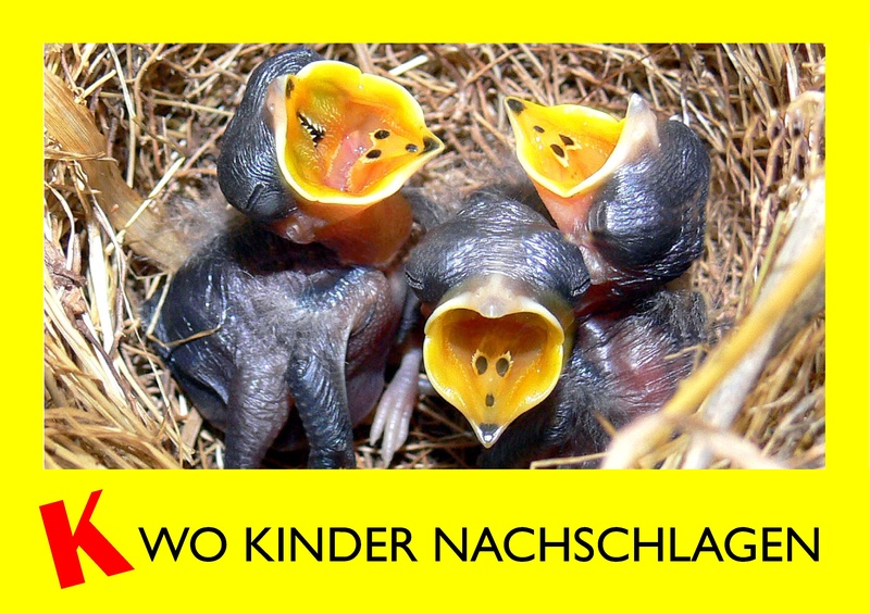 Datei:Klexikon WKN B 03.pdf