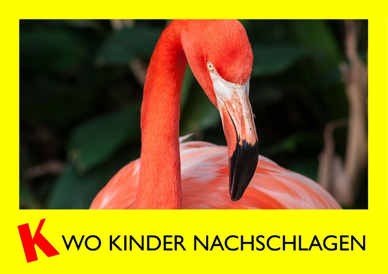 Datei:Klexikon WKN B 04.pdf